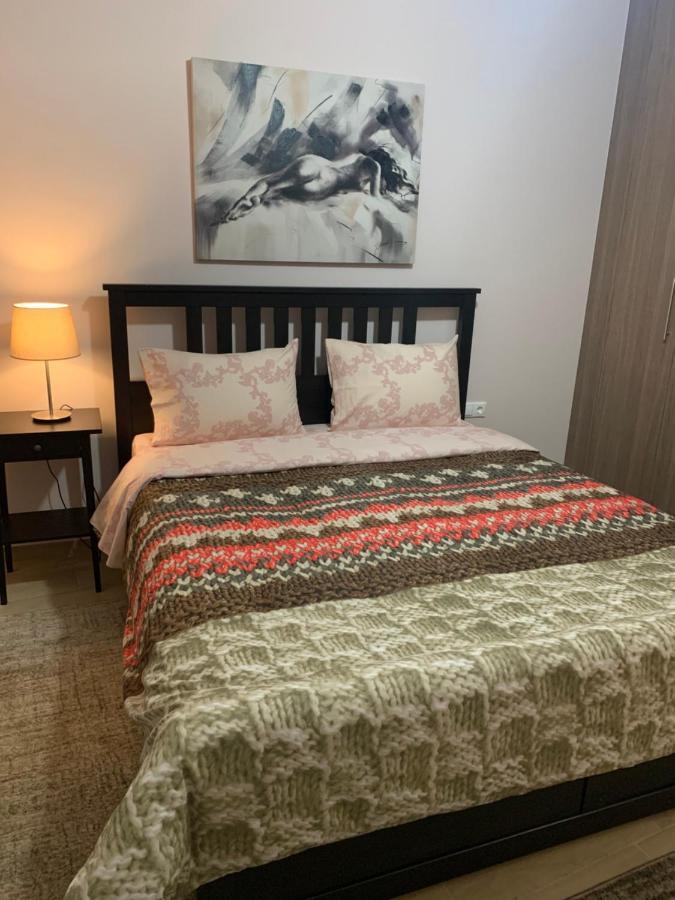 Renovated Apartment In The Center Of Larisa מראה חיצוני תמונה
