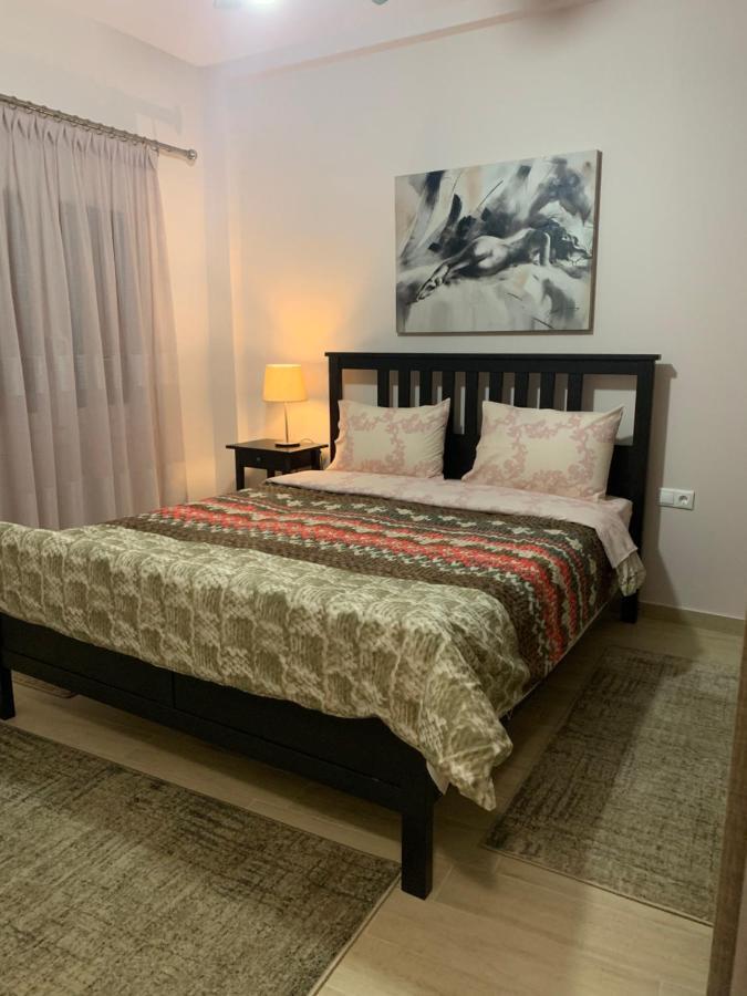 Renovated Apartment In The Center Of Larisa מראה חיצוני תמונה